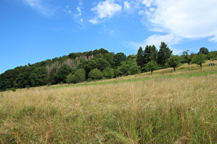 Schafabtrieb am Rodeberg