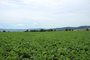 … und Blick nach Süden