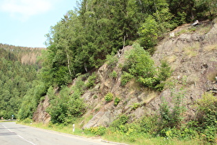 gesicherte Felsen im Okertal