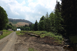 weiter oben, Blick talaufwärts