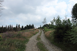 Schiebestrecke: zu steil auf dem losen Grund