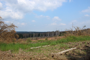 östlich der B4 freier Blick nach Norden ins Harzvorland