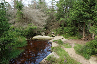 die Radau, Blick flussabwärts