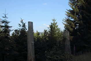 nordöstlich unterhalb von Torfhaus, Blick zum Brocken