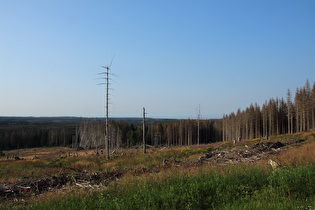 östlich der B4 freier Blick nach Norden ins Harzvorland