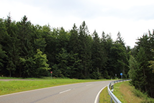 zwischen Bühlerhöhe und Sand, Blick bergauf …