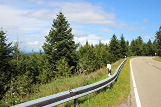 zwischen Hundseck und Unterstmatt, Blick bergab