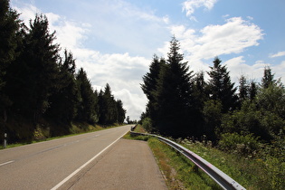 zwischen Hundseck und Unterstmatt, Blick bergauf