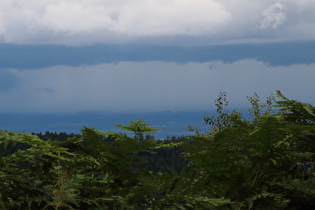 Zoom in den Regen