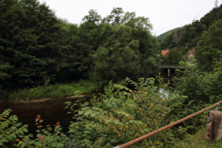 die Murg zwischen Mitteltal und Baiersbronn, Blick flussaufwärts