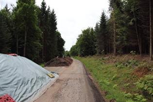 am anderen Ende der Straßenbaustelle, Blick Richtung Zwieselberg