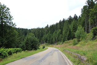 zwischen Zwieselberg und Bad Rippoldsau, Blick bergab …