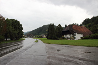 neuer Regen am Nordrand von Gutach