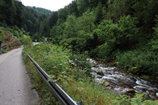 die Gutach im Bereich der Tunnelumfahrung, Blick flussaufwärts