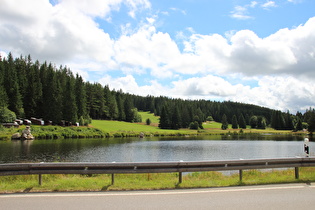 Blick über den Gutachsee nach Südosten