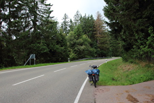 zwischen Schönwald und Escheck, Blick nach Westen …