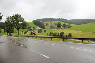 im Regen westlich von Furtwangen, Blick in eine Kehre …