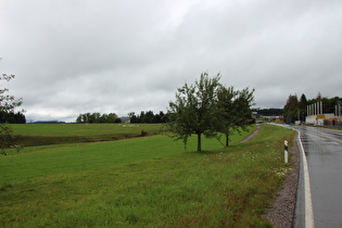 südlich von Neueck, Blick nach Norden auf Neueck …