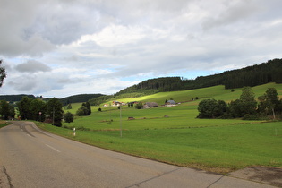 südlich von Unterwirtshaus, Blick nach Westen