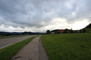 zwischen Neustadt und Titisee, Blick Richtung Titisee