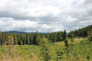 zwischen Kohlplatz und Passhöhe, Blick zum Kohlplatz