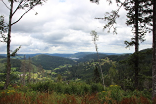 … und Blick nach Nordosten Richtung Titisee