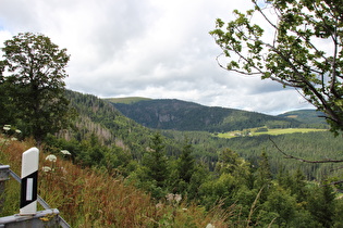 Blick zum Feldberg und zum Raimartihof