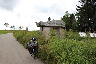 in Feldberg-Ort, unteres Ende des Weges zum Feldberggipfel