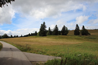 auf dem Weg zum Feldberggipfel, Blick zum Seebuck