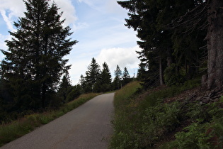 weiter oben, Blick zum Feldberggipfel