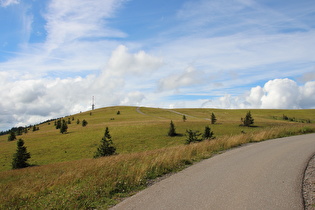 weiter oben, Blick Richtung Feldberggipfel, …