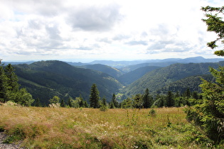 … Blick über das Wiesental nach Südwesten …