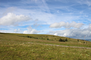 weiter oben, Blick nach Norden auf Weideflächen …