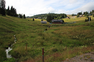 die Menzenschwander Alb, Blick flussaufwärts zum Feldbergturm