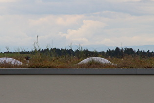 Zoom auf die wolkenverhangenen Alpen