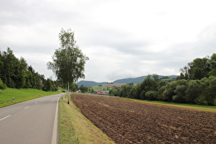 zwischen Staatsgrenze und Schleitheim, Blick Richtung Schleitheim