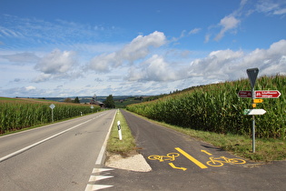 Blick von der Passhöhe nach Nordwesten zur Südostflanke des Schwarzwaldes