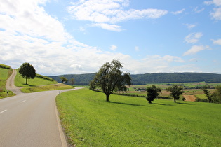 zwischen Siblingen und Löhningen, Blick nach Süden …