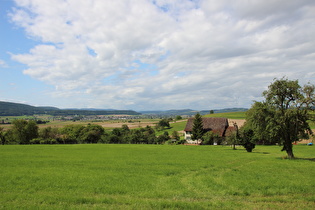 … und Blick nach Westen, etwa in Bildmitte am Horizont der Südschwarzwald