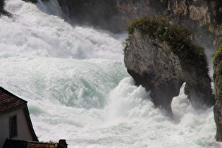 Zoom auf den Kleinen Rheinfallfelsen