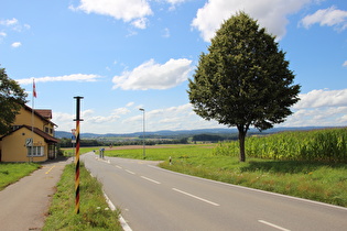 ein paar Meter weiter, Blick in die Schweiz