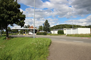 südlich von Rielasingen, Blick nach Nordosten