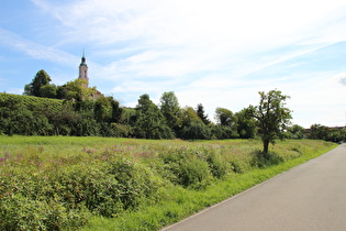 zwischen Nussdorf und Überlingen, die Wallfahrtskirche Birnau in plüschigem Rosa