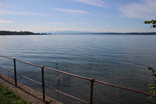 zwischen Überlingen und Unteruhldingen, Blick nach Südosten auf die Alpen am Horizont