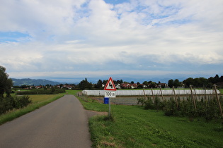 zwischen Wasserburg und Bad Schachen, Blick über Reutenen zum Bregenzer Wald, rechts der Pfänder …