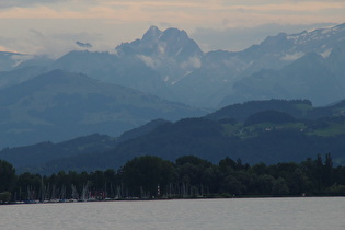 Zoom auf den Altmann