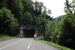 Schwarzachtobeltunnel, Westportal