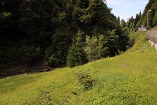 in Alberschwende, die Schwarzach, Blick flussabwärts, …