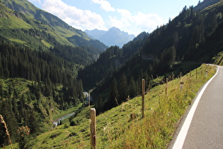 zwischen Warth und Lech, Blick auf den Lech flussaufwärts