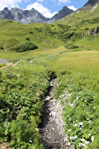 der Zürsertälibach, Blick flussaufwärts auf v. l. n. r. Erzbergkopf, Erzbergspitze, Kleine Grubenspitze und Flexenspitze …